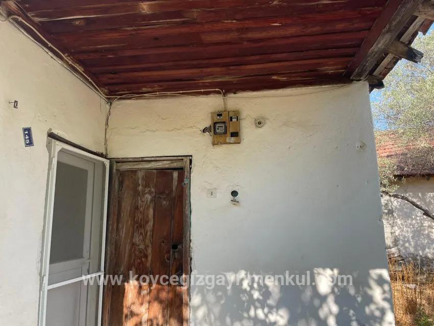 Для Продажи Семейный Дом 1+0 в Çandır Köyceğiz - 2.765 m²