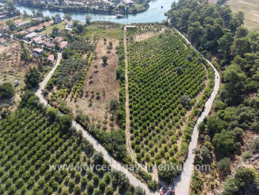 Для Продажи Поле в Çandır Köyceğiz - Под Поле застройку - 20.000 m²