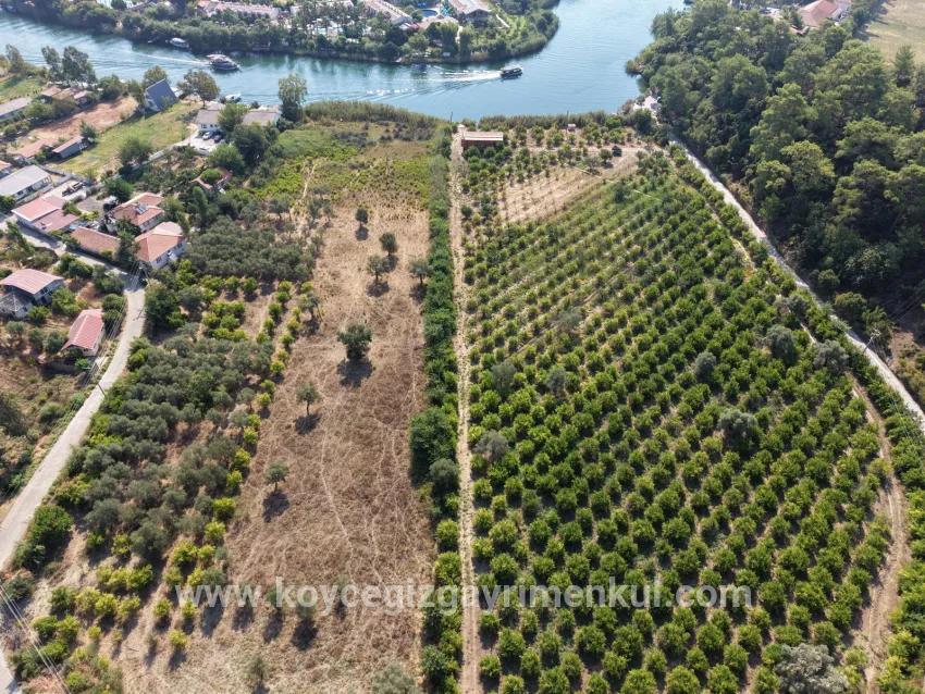 Для Продажи Поле в Çandır Köyceğiz - Под Поле застройку - 20.000 m²