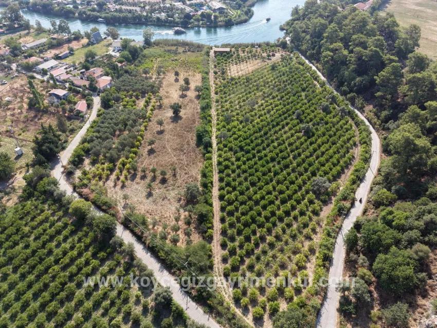 Для Продажи Поле в Çandır Köyceğiz - Под Поле застройку - 20.000 m²