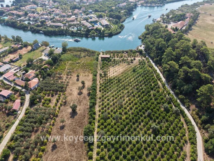 Для Продажи Поле в Çandır Köyceğiz - Под Поле застройку - 20.000 m²