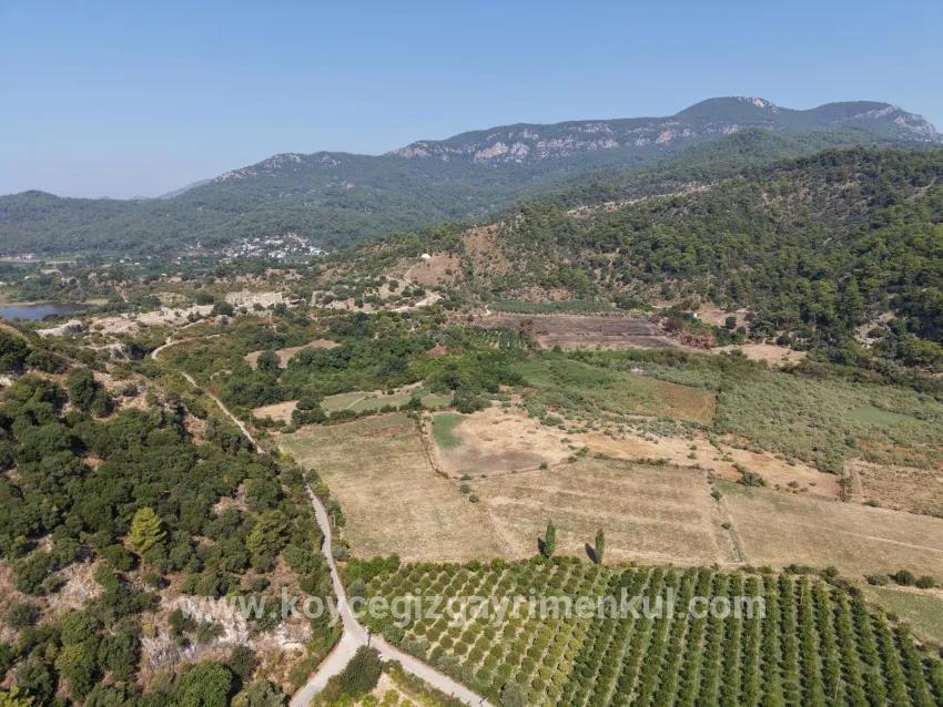 Для Продажи Поле в Çandır Köyceğiz - Под Поле застройку - 20.000 m²