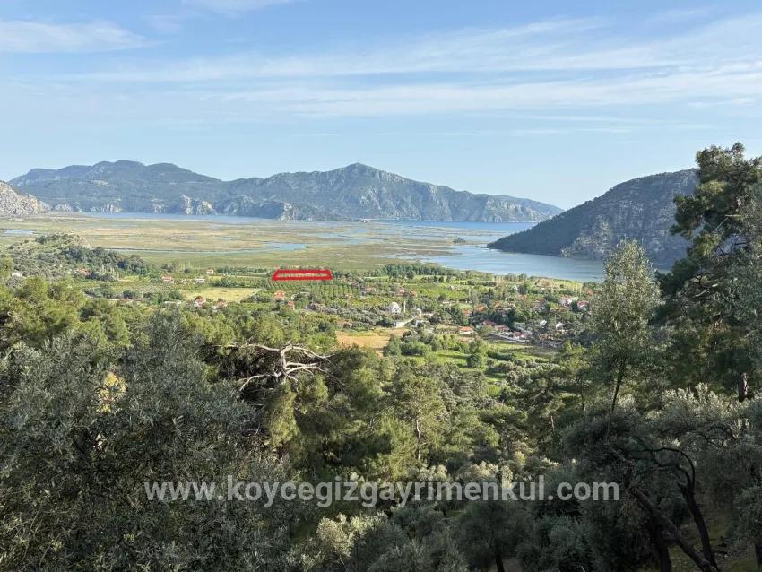 Для Продажи Поле в Çandır Köyceğiz - Под Поле застройку - 1.252 m²