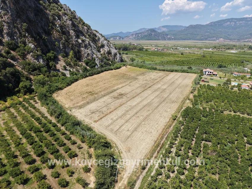 Для Продажи Поле в Dalyan Ortaca - Под Поле застройку - 20.786 m²