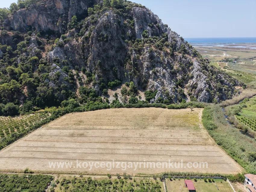 Для Продажи Поле в Dalyan Ortaca - Под Поле застройку - 20.786 m²