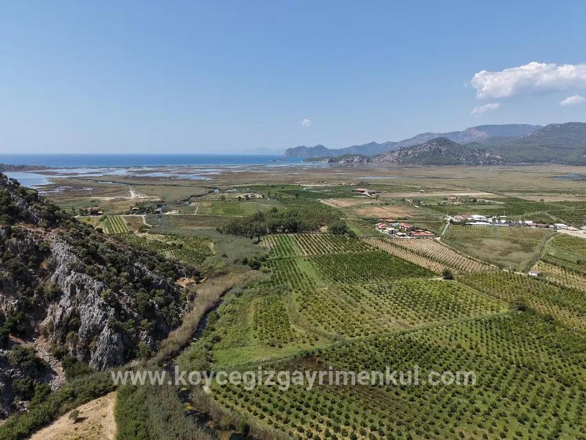 Для Продажи Поле в Dalyan Ortaca - Под Поле застройку - 20.786 m²