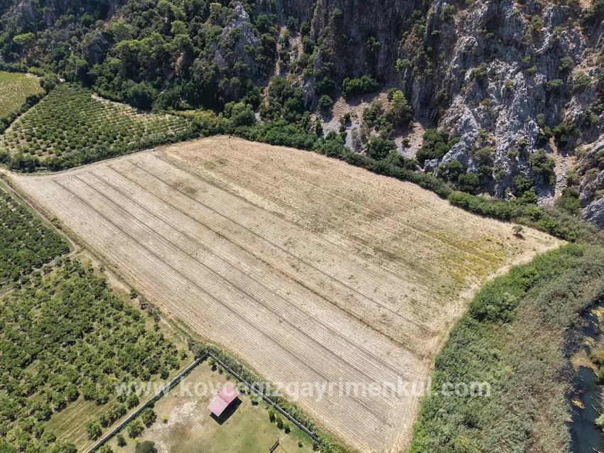 Для Продажи Поле в Dalyan Ortaca - Под Поле застройку - 20.786 m²