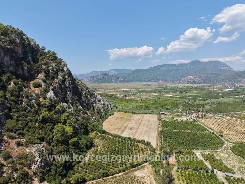 Для Продажи Поле в Dalyan Ortaca - Под Поле застройку - 20.786 m²
