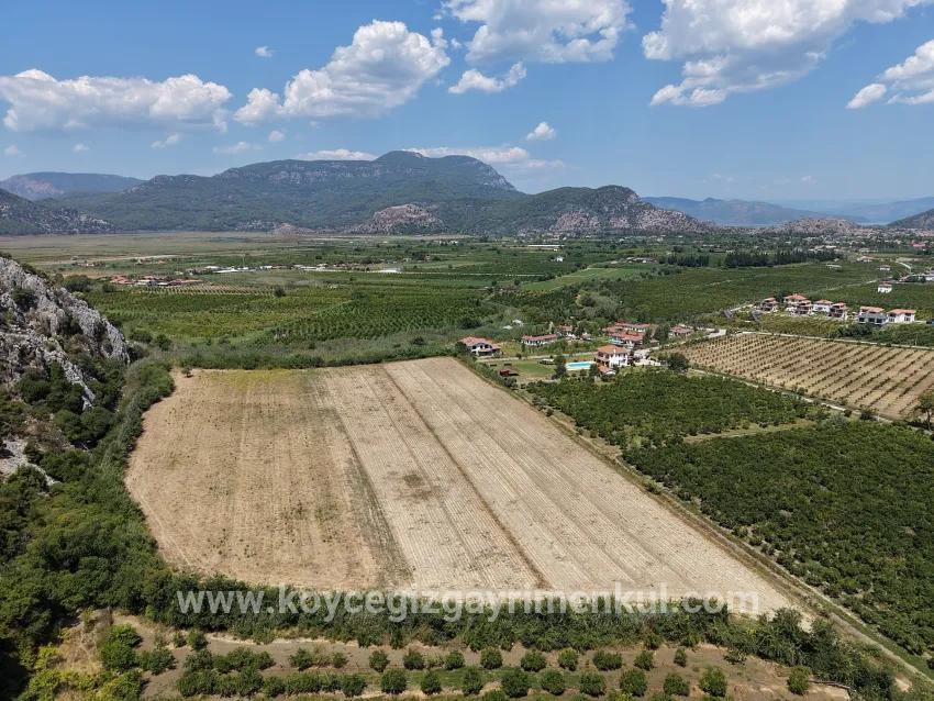 Для Продажи Поле в Dalyan Ortaca - Под Поле застройку - 20.786 m²