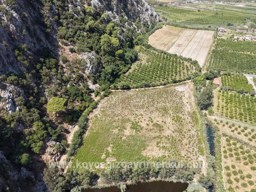 Для Продажи Поле в Dalyan Ortaca - Под Поле застройку - 20.786 m²