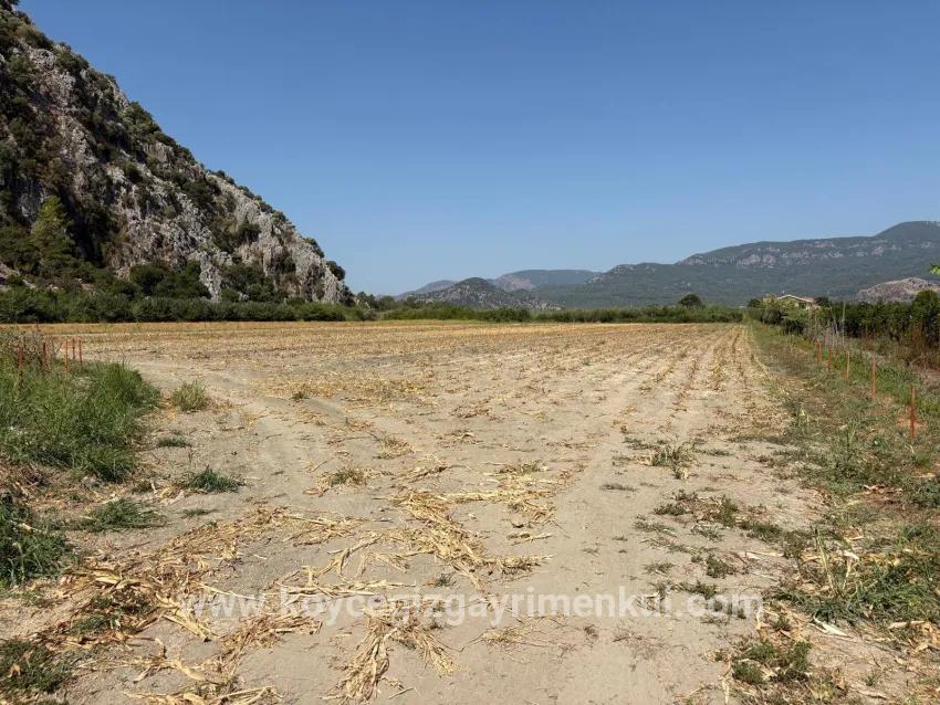 Для Продажи Поле в Dalyan Ortaca - Под Поле застройку - 20.786 m²