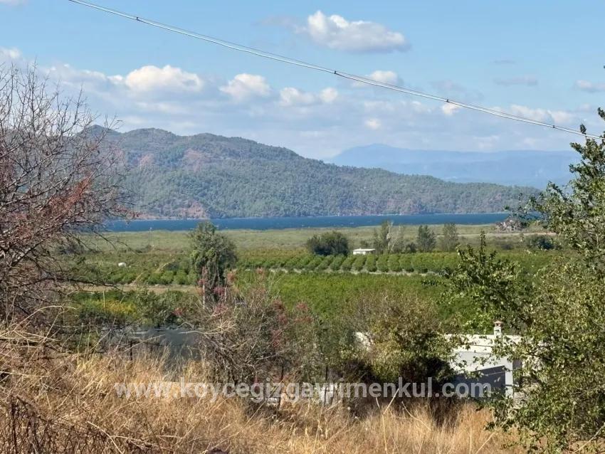 Для Продажи Поле в Dalyan Ortaca - Под Поле застройку - 5.000 m²