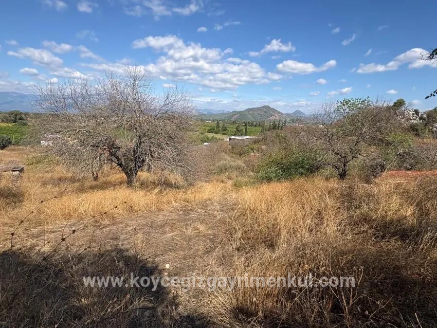 Для Продажи Поле в Dalyan Ortaca - Под Поле застройку - 5.000 m²