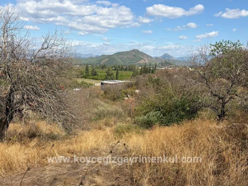 Для Продажи Поле в Dalyan Ortaca - Под Поле застройку - 5.000 m²