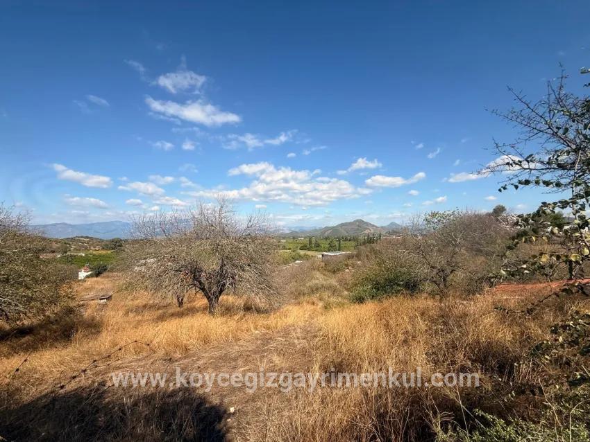 Для Продажи Поле в Dalyan Ortaca - Под Поле застройку - 5.000 m²