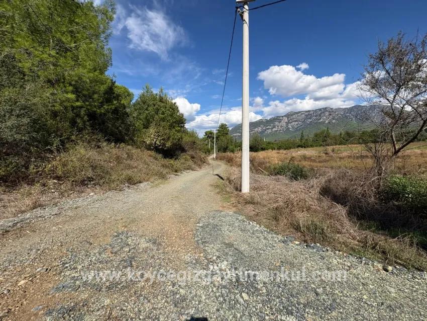 Для Продажи Поле в Zeytinalanı Köyceğiz - Под Поле застройку - 10.500 m²