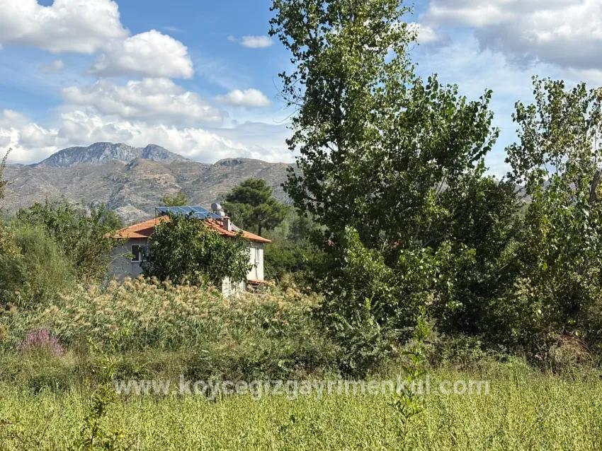 Для Продажи Поле в Zeytinalanı Köyceğiz - Под Поле застройку - 10.500 m²