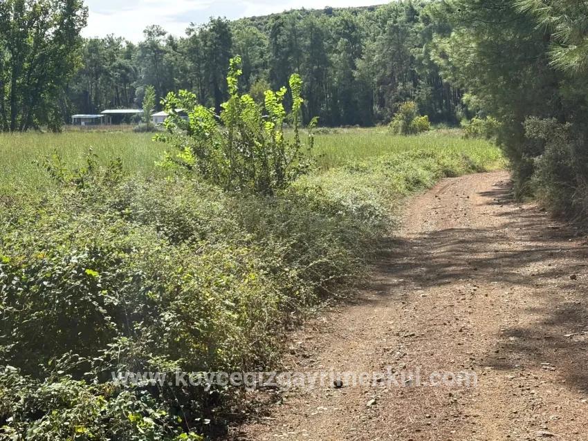 Для Продажи Поле в Zeytinalanı Köyceğiz - Под Поле застройку - 10.500 m²