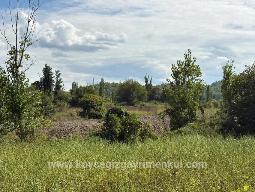 Для Продажи Поле в Zeytinalanı Köyceğiz - Под Поле застройку - 10.500 m²