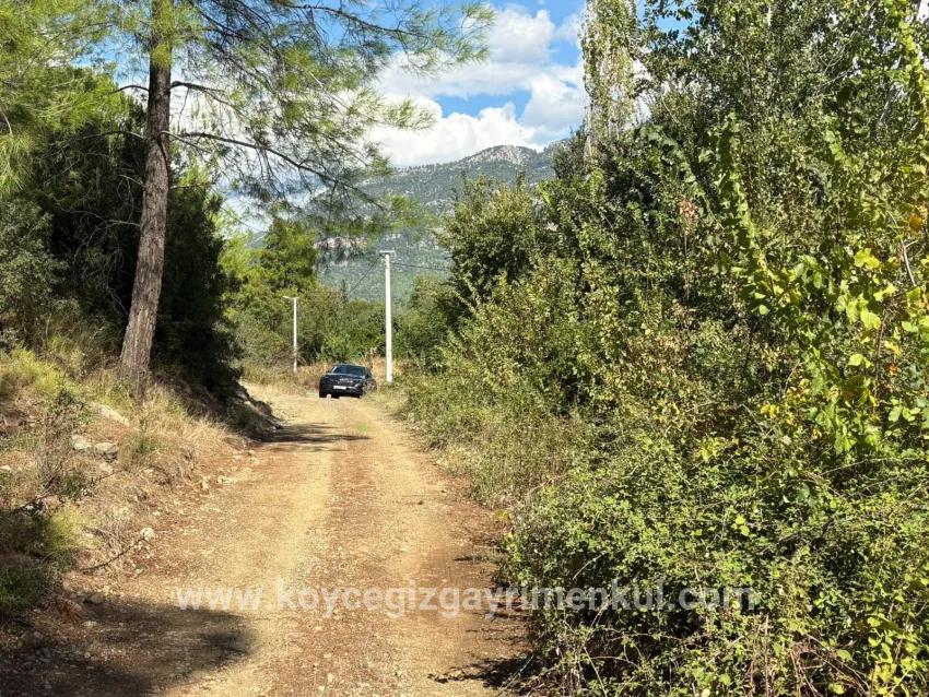 Для Продажи Поле в Zeytinalanı Köyceğiz - Под Поле застройку - 10.500 m²