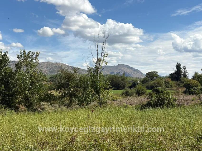 Для Продажи Поле в Zeytinalanı Köyceğiz - Под Поле застройку - 10.500 m²