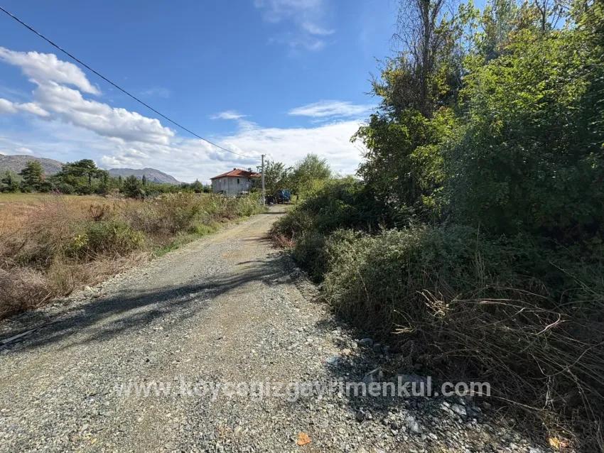Для Продажи Поле в Zeytinalanı Köyceğiz - Под Поле застройку - 10.500 m²