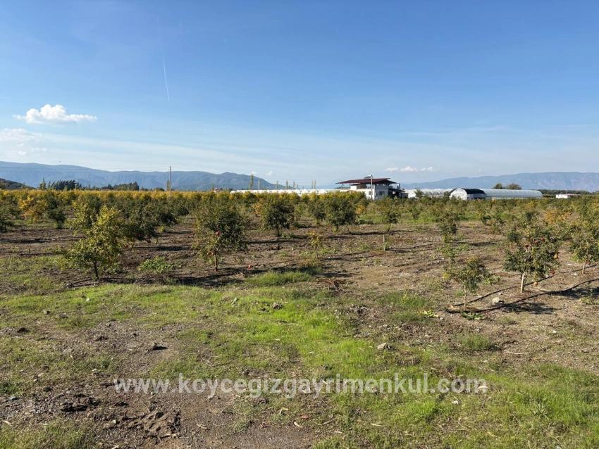 Для Продажи Поле в Eskiköy Ortaca - Под Поле застройку - 21.500 m²