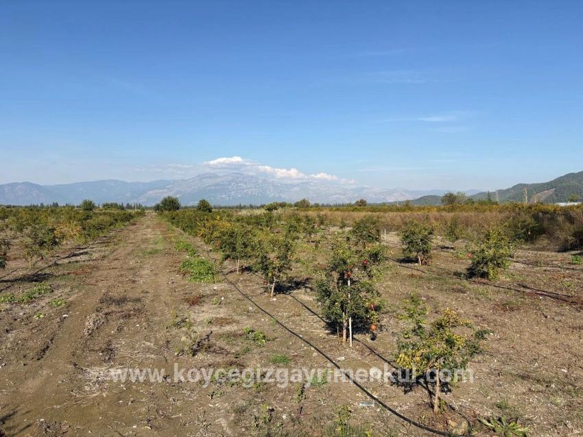 Для Продажи Поле в Eskiköy Ortaca - Под Поле застройку - 21.500 m²