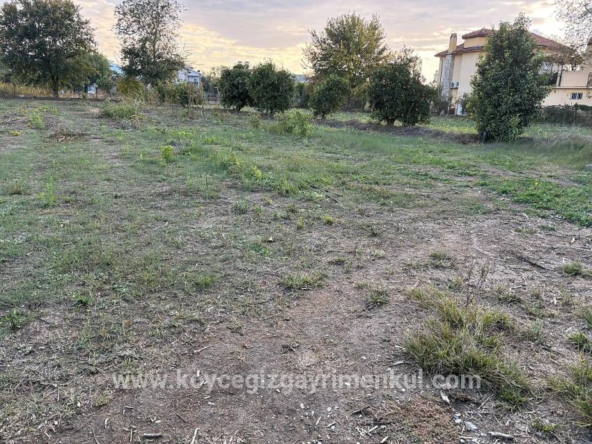 Для Продажи Сюжет в Dalyan Ortaca - Под Жилье застройку - 7.450 m²