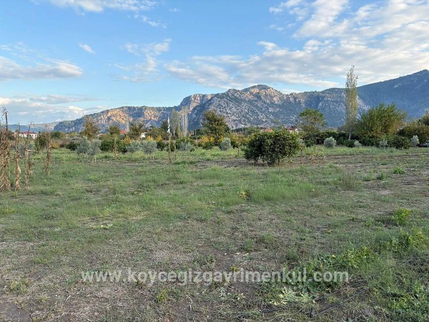 Для Продажи Сюжет в Dalyan Ortaca - Под Жилье застройку - 7.450 m²