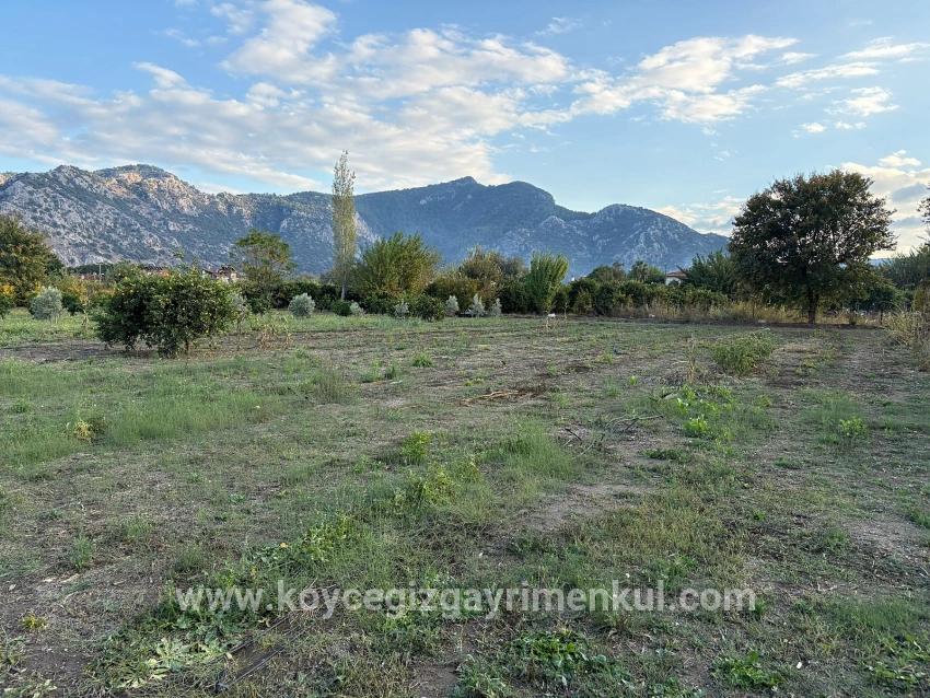 Для Продажи Сюжет в Dalyan Ortaca - Под Жилье застройку - 7.450 m²