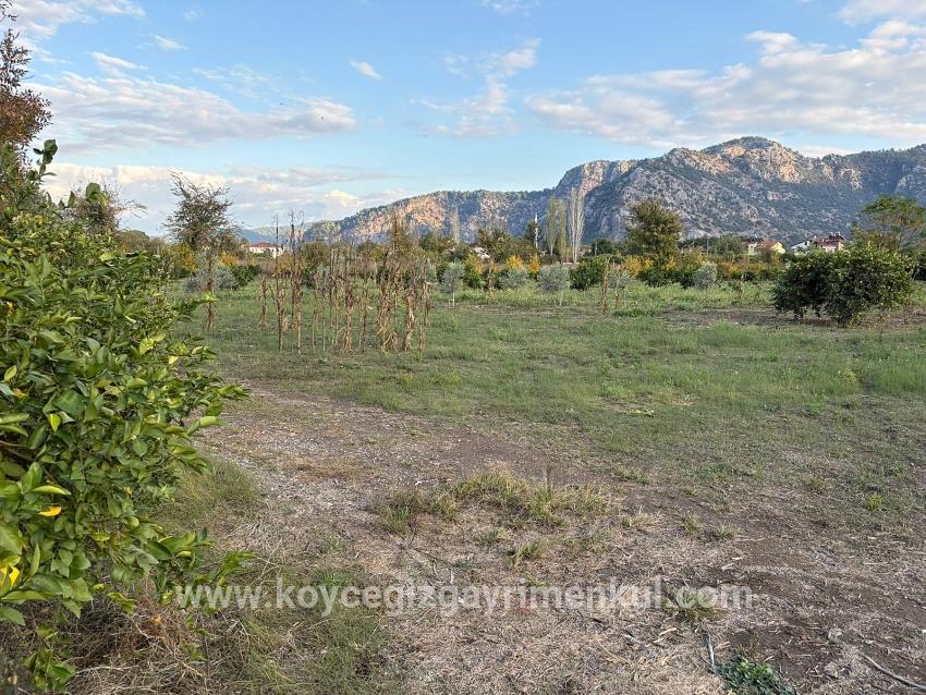 Для Продажи Сюжет в Dalyan Ortaca - Под Жилье застройку - 7.450 m²