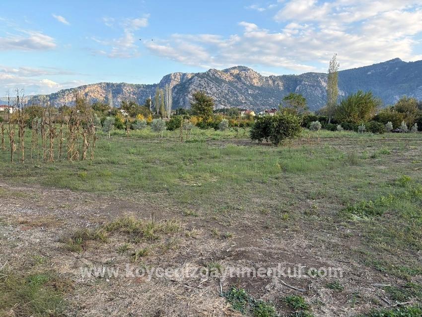 Для Продажи Сюжет в Dalyan Ortaca - Под Жилье застройку - 7.450 m²