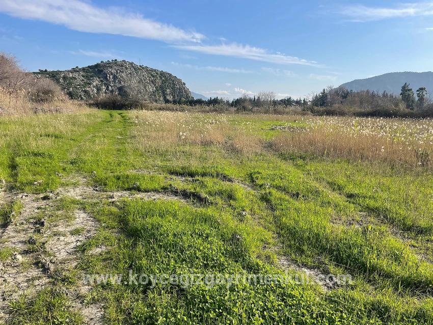 Для Продажи Сюжет в Dalyan Ortaca - Под Жилье застройку - 6.800 m²