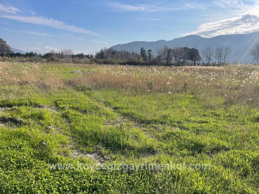 Для Продажи Сюжет в Dalyan Ortaca - Под Жилье застройку - 6.800 m²