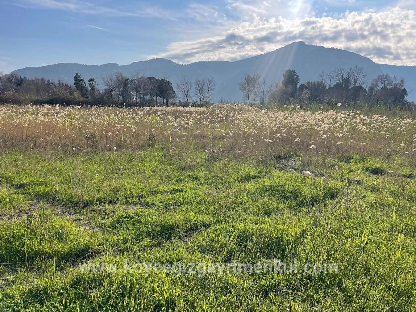 Для Продажи Сюжет в Dalyan Ortaca - Под Жилье застройку - 6.800 m²
