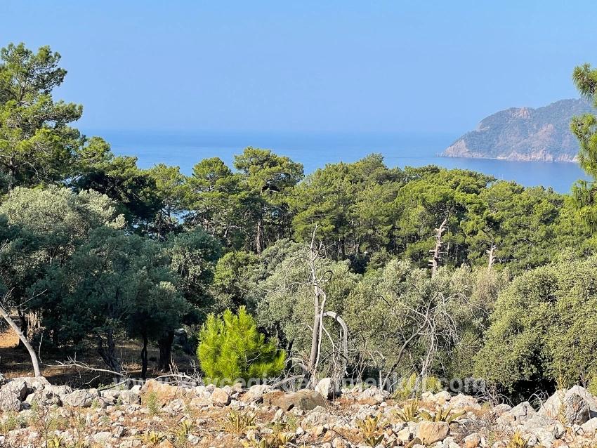 Для Продажи Поле в Çandır Köyceğiz - Под Жилье застройку - 10.481 m²