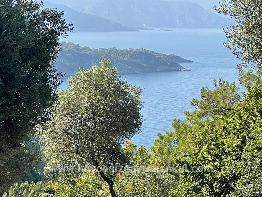 Для Продажи Поле в Çandır Köyceğiz - Под Жилье застройку - 10.481 m²