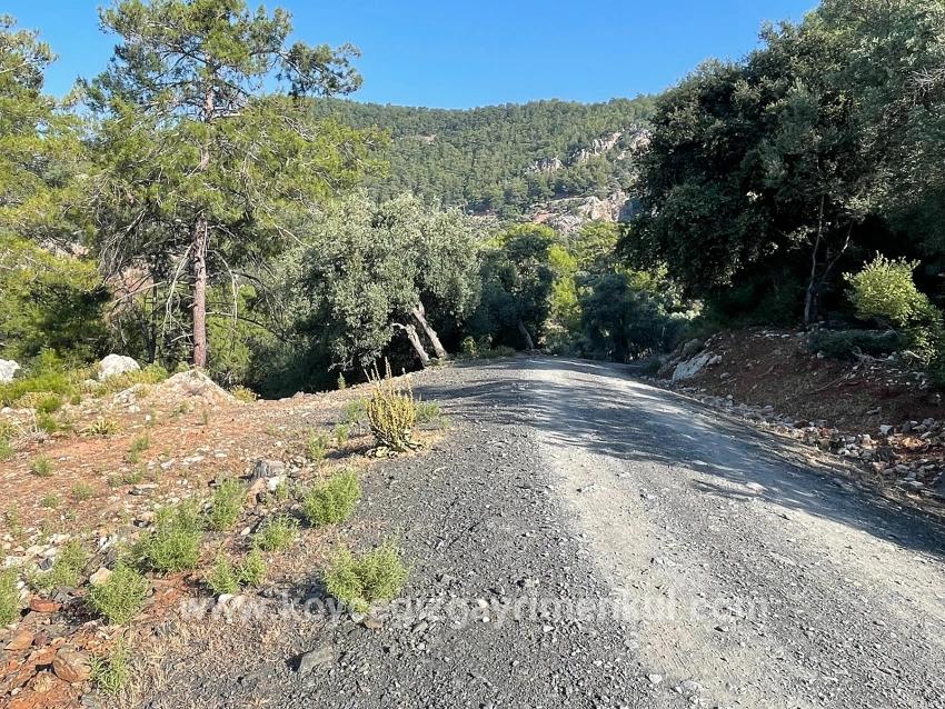 Для Продажи Поле в Çandır Köyceğiz - Под Жилье застройку - 10.481 m²