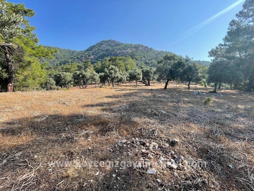 Для Продажи Поле в Çandır Köyceğiz - Под Жилье застройку - 10.481 m²