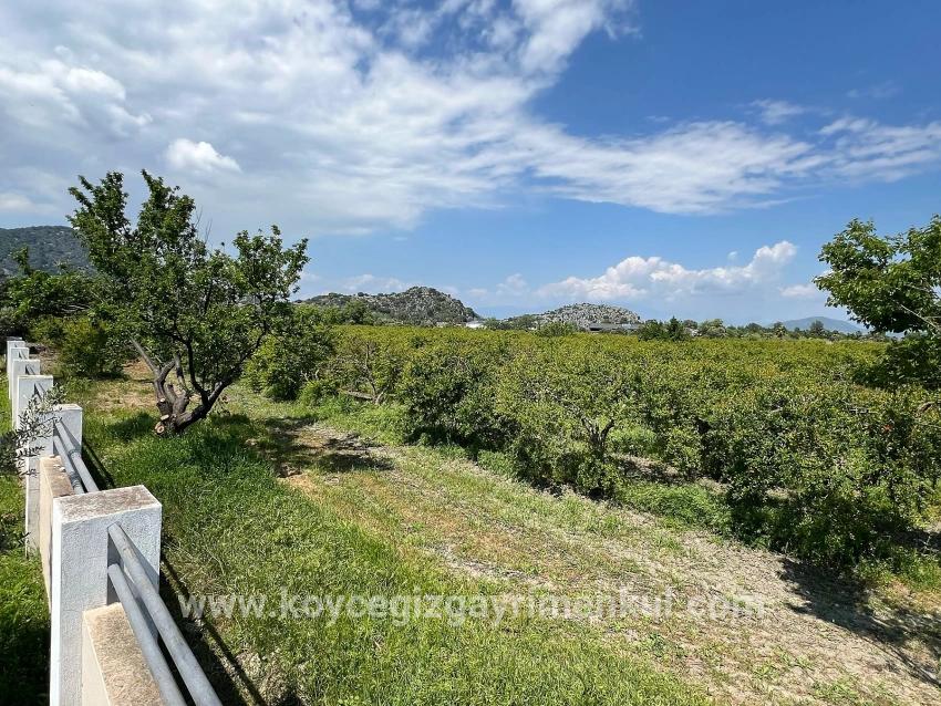 Для Продажи Сюжет в Dalyan Ortaca - Под Жилье застройку - 5.100 m²