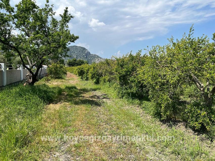 Для Продажи Сюжет в Dalyan Ortaca - Под Жилье застройку - 5.100 m²