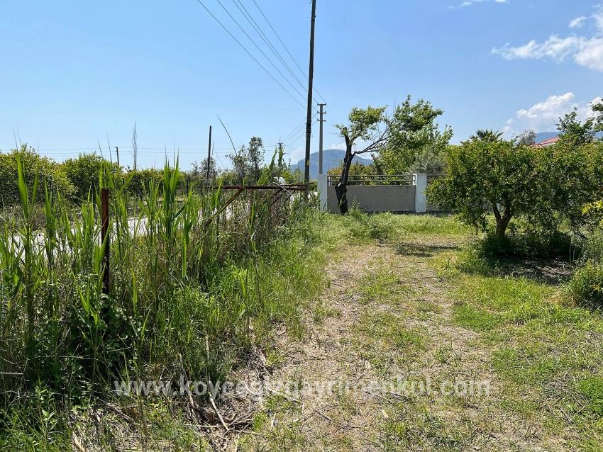Для Продажи Сюжет в Dalyan Ortaca - Под Жилье застройку - 5.100 m²