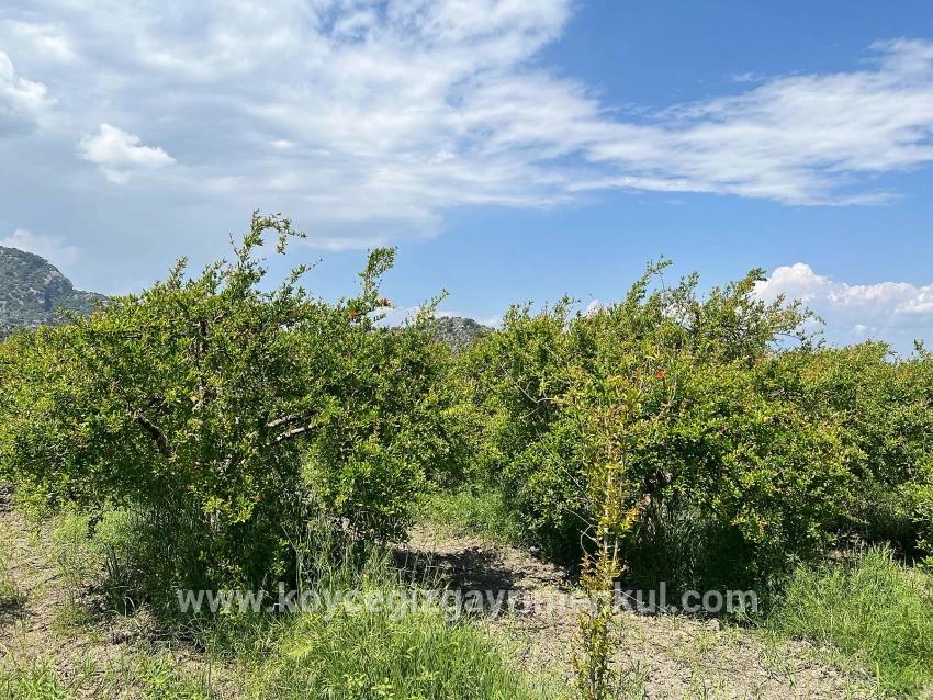 Для Продажи Сюжет в Dalyan Ortaca - Под Жилье застройку - 5.100 m²