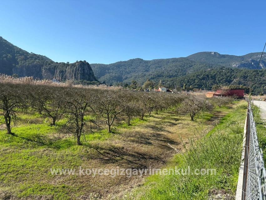Для Продажи Сюжет в Dalyan Ortaca - Под Жилье застройку - 5.985 m²