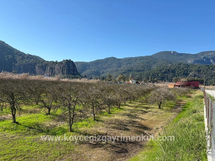 Для Продажи Сюжет в Dalyan Ortaca - Под Жилье застройку - 5.985 m²