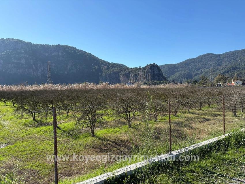 Для Продажи Сюжет в Dalyan Ortaca - Под Жилье застройку - 5.985 m²