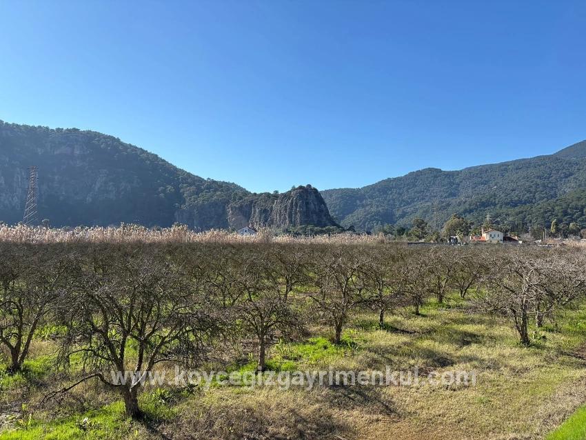 Для Продажи Сюжет в Dalyan Ortaca - Под Жилье застройку - 5.985 m²