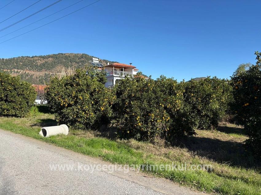 Для Продажи Сюжет в Ekşiliyurt Ortaca - Под Жилье застройку - 1.085 m²