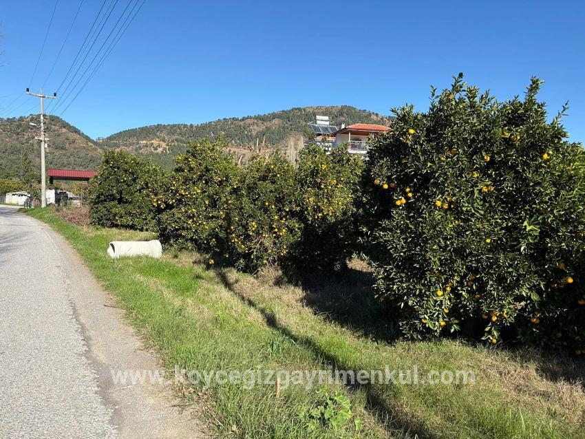 Для Продажи Сюжет в Ekşiliyurt Ortaca - Под Жилье застройку - 1.085 m²